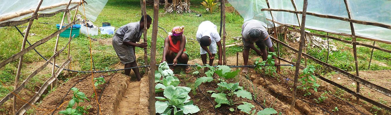 Agriculture Agriculture